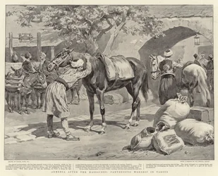 Armenia after the Massacres, Pantheistic Worship in Tarsus